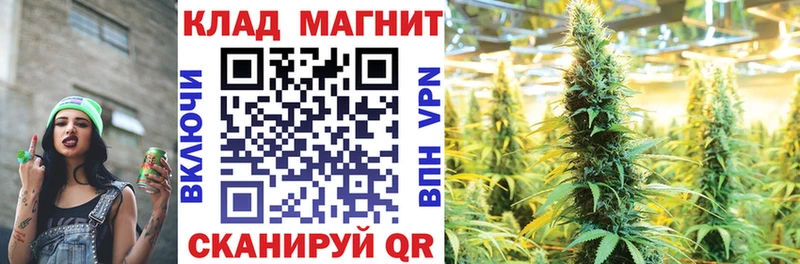 Хочу наркоту Кологрив Псилоцибиновые грибы Меф мяу мяу